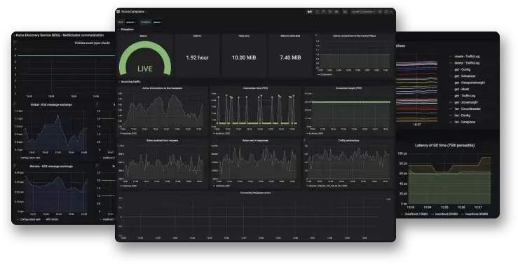 Screenshot of the Kuma Graphana Metrics